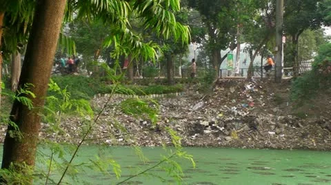 Destruction of Nature (p2) Video stock 11131347