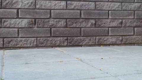 Destruction of the smartphone Stock Footage 116941212