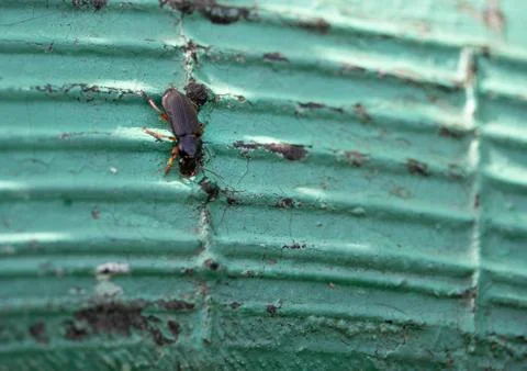 Destructive human influence Stock Photos