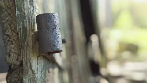Detached old rusty metal hinge on wood door / Close up Stock Footage 130887254