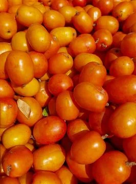 Detail of a batch of tomatoes Stock Photos