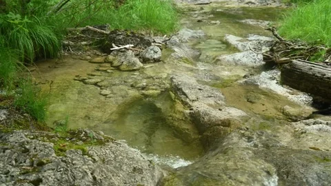 Detail of a beautiful and wild small stream in the mountains Stock Footage 211487563