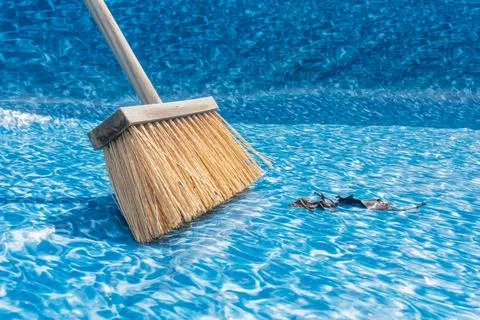 Detail of a bone when sweeping leaves and spins when cleaning a garden pool Stock Photos