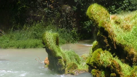 Detail bottom of a waterfall. Stock Footage 290782232