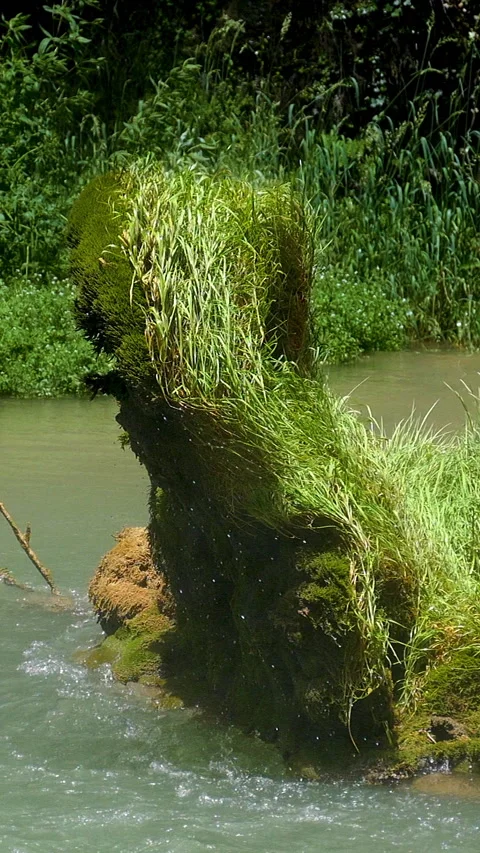 Detail bottom of a waterfall. Vertical Format. Stock Footage 294713811