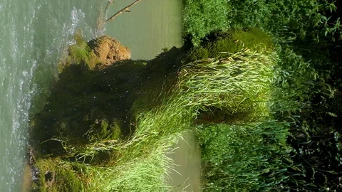 Detail bottom of a waterfall. Vertical Format. Video stock 294713821