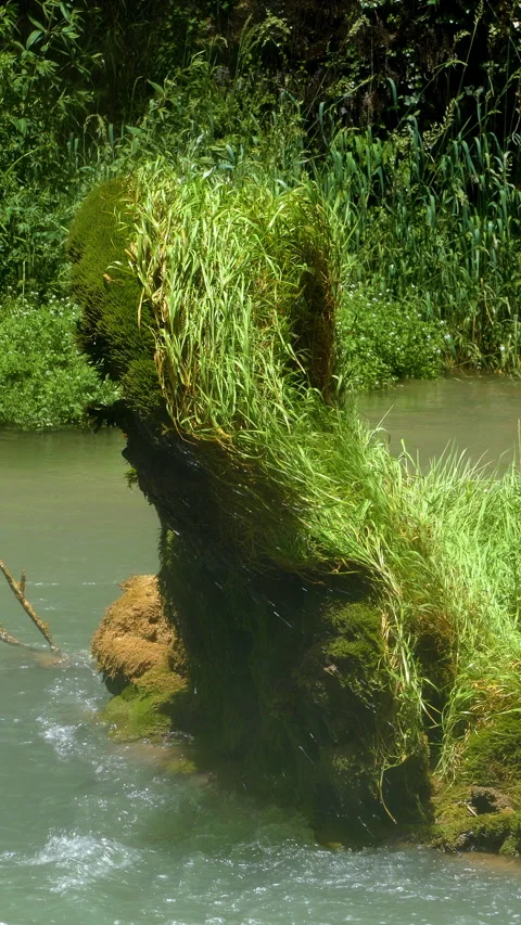 Detail bottom of a waterfall.Vertical Format. Video stock 294711417