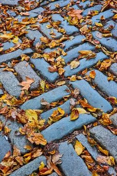 Detail of brick pattern on ground with fall leaves covering Foto stock
