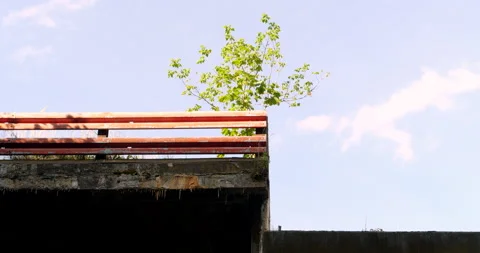 Detail of broken down commercial building Stock Footage 215815820