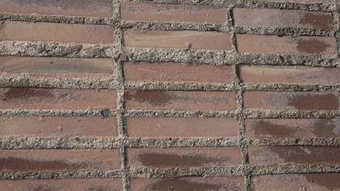 Detail of brown rectangular terracotta brick pavement Foto stock