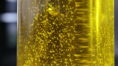 Detail of the bubbles produced when filling a glass bottle with virgin olive oil Stock Footage 222188904