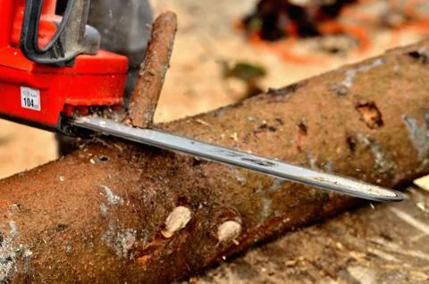 Detail of a chainsaw chain while cutting off branches from a tree trunk Stock Photos