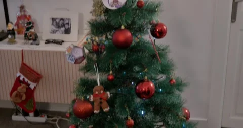 Detail of Christmas tree with Olentzero. Stock Footage 327845707