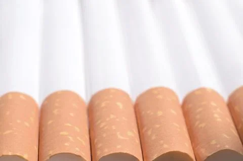 Detail of cigarettes with filter Stock Photos