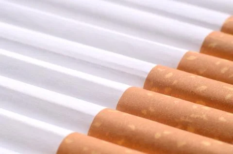Detail of cigarettes with filter Stock Photos