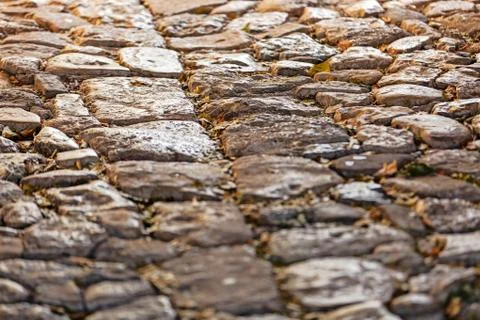 Detail of cobblestone path Foto stock