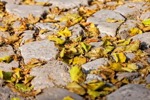 Detail of cobblestone path Foto stock