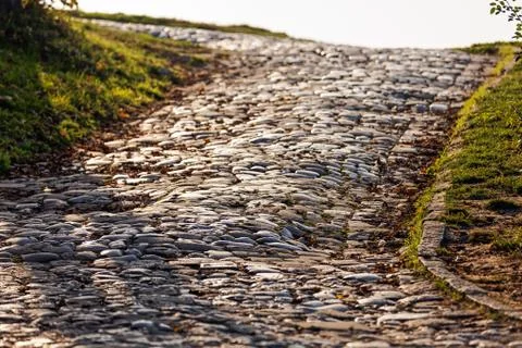 Detail of cobblestone path Foto stock