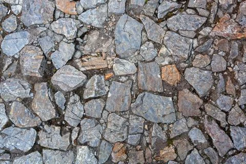 Detail of cobblestone path 스톡 사진