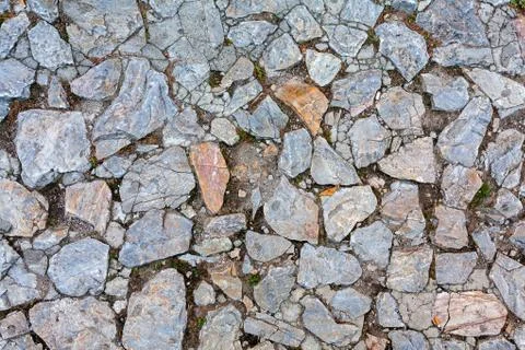 Detail of cobblestone path 스톡 사진