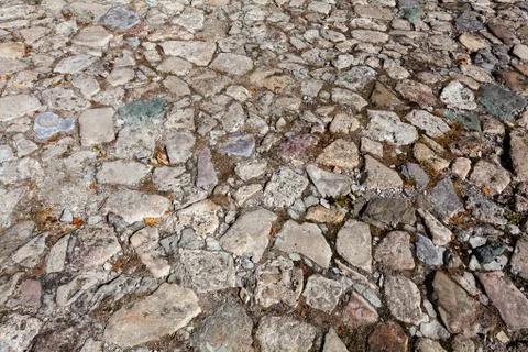 Detail of cobblestone path 스톡 사진