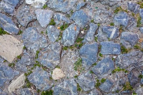 Detail of cobblestone path Stock Photos