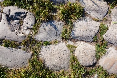 Detail of cobblestone path Stock Photos