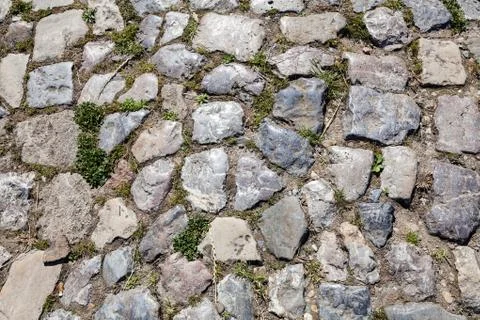 Detail of cobblestone path 스톡 사진