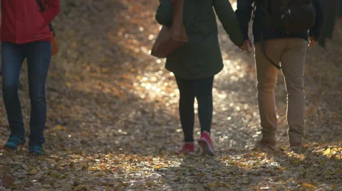 A detail of couples legs while walking in the fallen leafs Stock Footage 56631786