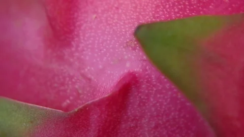 Detail of Dragon Fruit. Macro dolly shot. 4K Stock Footage 88769381