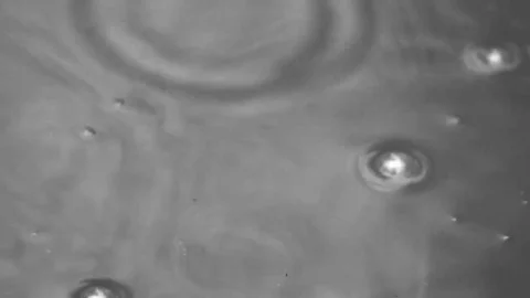 Detail of drops of a rain falling into a puddle Video stock 69149233