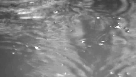Detail of drops of rain falling into a puddle Stock Footage 69149431