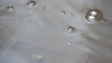 Detail of drops of rain falling into a puddle Stock Footage 69149659