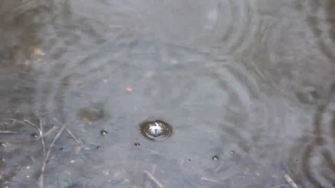 Detail of drops of rain falling into a puddle Stock Footage 69149735