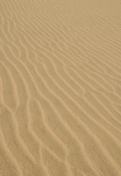 Detail of a dune. Stock Photos