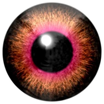Detail of eye with brown colored iris and black pupil Illustrazione stock
