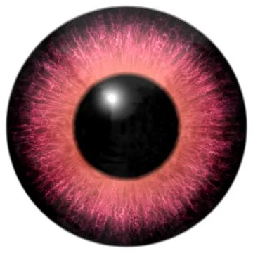 Detail of eye with red colored iris and black pupil Illustrazione stock
