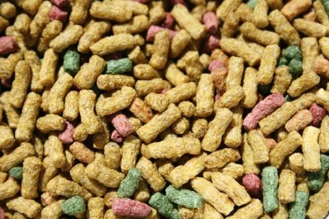 Detail of feed for fish 스톡 사진