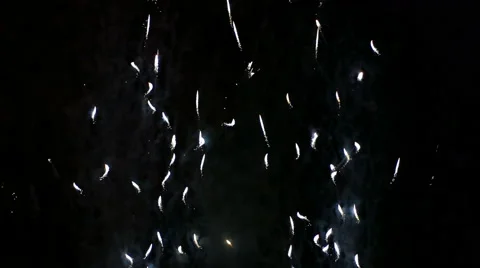 Detail of fireworks Stock Footage 69068750