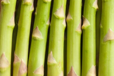 Detail of fresh green asparagus Stock Photos