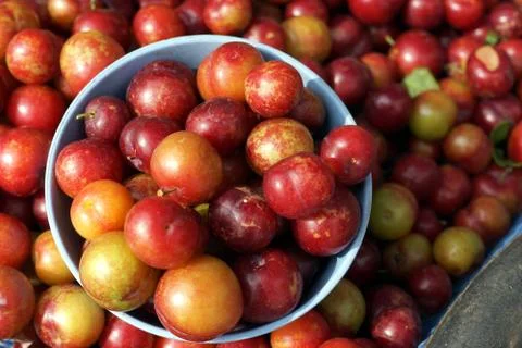 Detail of fruit texture Stock Photos