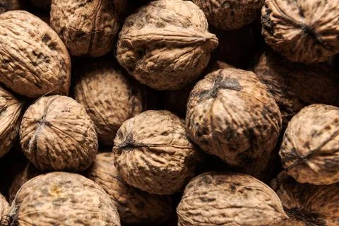 Detail full frame high angle view of pile of walnuts lying in box Photos