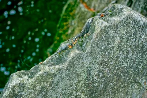 Detail of granite stone Stock Photos
