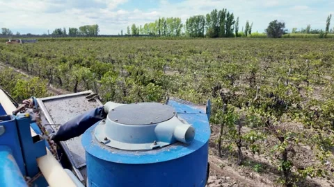 Detail of the integrated fan and suction system for leaf removal in a grape.. Stock Footage 331754318