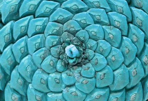 Detail of a large pine cone Stock Photos