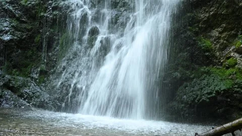 Detail of a mossy waterfall Stock-Footage 260848491