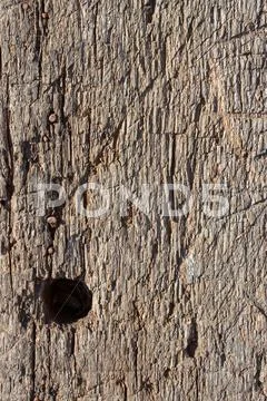 Detail of old board Stock Photos