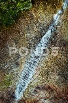 Detail on an old rotting stump Stock Photos