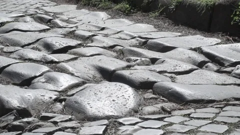 Detail, overview from right to left of the ancient Appian Way in Rome Stock Footage 73984610