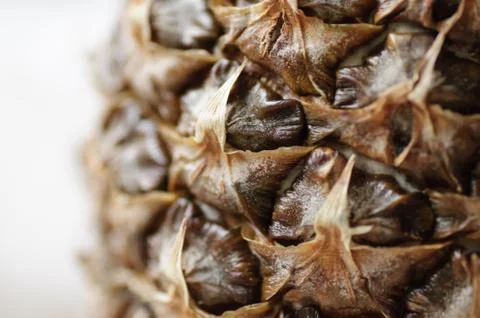 Detail pineapple close up Stock Photos